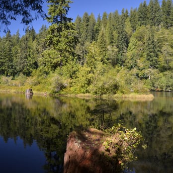Lake Sylvia State Park - One of many perspectives of the lake. - Parks Near Me - Montesano, Washington Lake Sylvia State Park - One of many perspectives of the lake. - Parks Near Me - Montesano, Washington