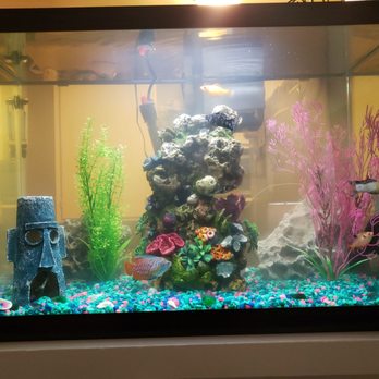 Mike The Fish Guy - Aquarium Services Near Me