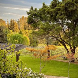 Lester Estate Wines and Deer Park Ranch, 2000 Pleasant Valley Rd, Aptos, CA Lester Estate Wines and Deer Park Ranch, 2000 Pleasant Valley Rd, Aptos, CA