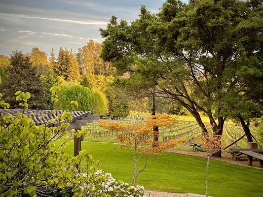 Lester Estate Wines by null