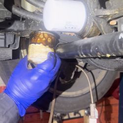 Webster Oil Change