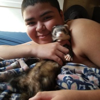 PetSmart - Our Ferret says thanks you for all the yummy food and snacks Petsmart. - Pet Stores Near Me - West Covina, California PetSmart - Our Ferret says thanks you for all the yummy food and snacks Petsmart. - Pet Stores Near Me - West Covina, California