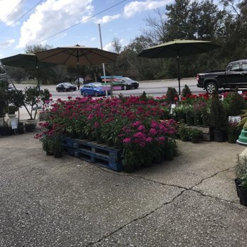 Kim's Cabbage Patch - Fruits & Veggies Near Me - Clermont, Florida