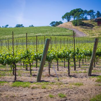 Lancaster Estate - Lancaster Estate 5 9 2017 - Wine Tasting Room Near Me - Healdsburg, California Lancaster Estate - Lancaster Estate 5 9 2017 - Wine Tasting Room Near Me - Healdsburg, California