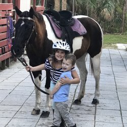 M & H Stables