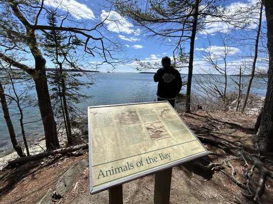 Wolfe's Neck Woods State Park by null