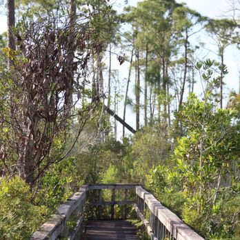 Briggs Nature Center Boardwalk - Hiking Near Me - Naples, Florida Briggs Nature Center Boardwalk - Hiking Near Me - Naples, Florida
