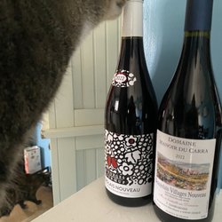 Lou's Beer & Wine Cellar - Our nosy cat had to get in the shot