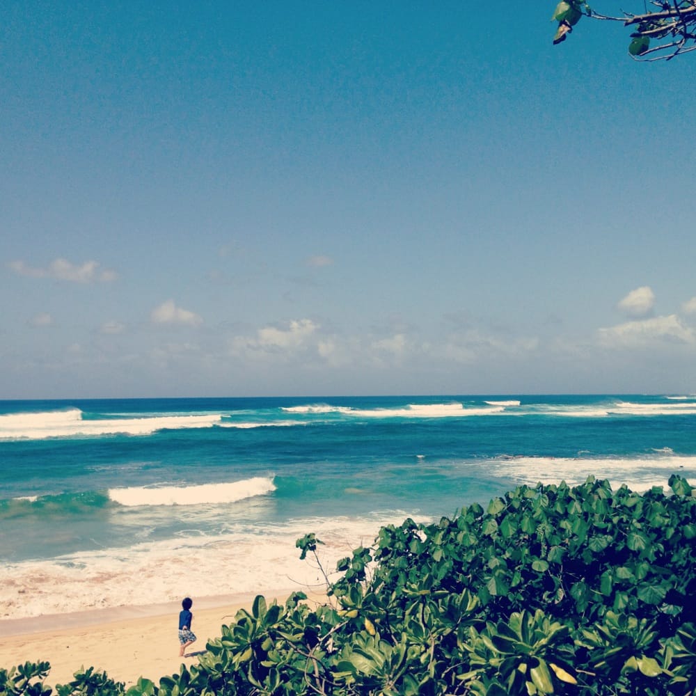 Paty's Shorebreak Logo