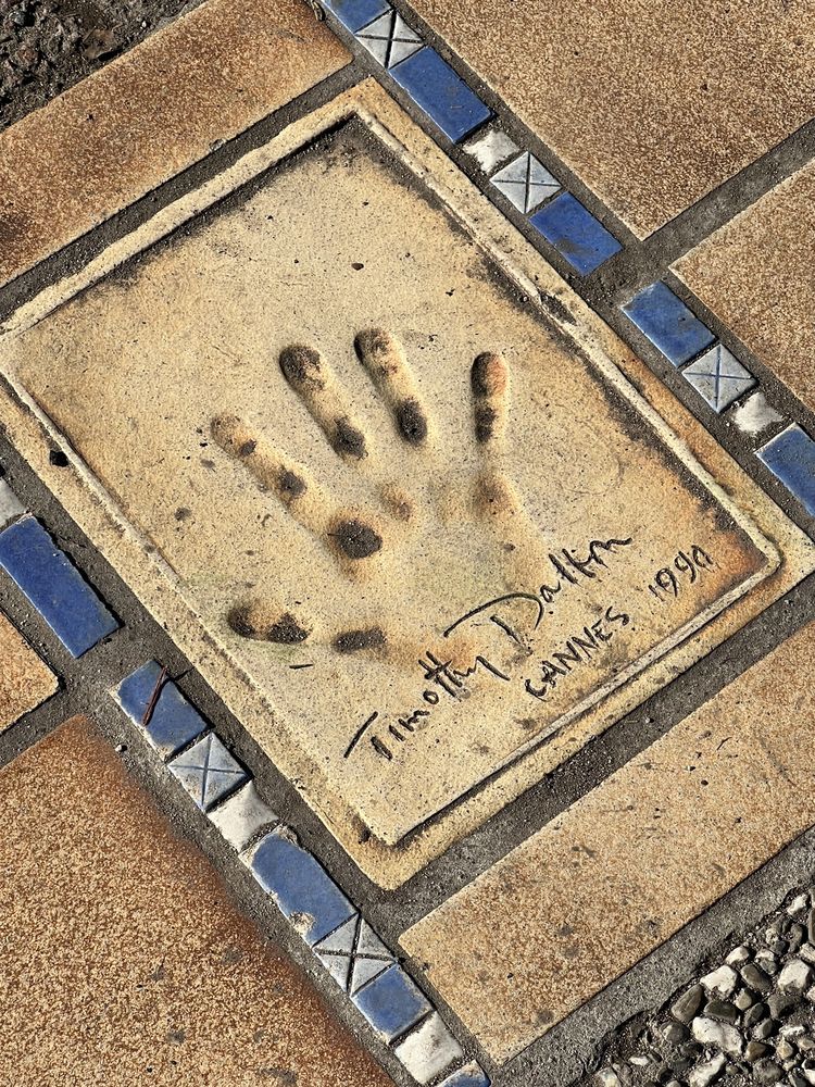 CANNES WALK OF FAME Updated June 2024 Bd de la Croisette, Cannes, AlpesMaritimes, France