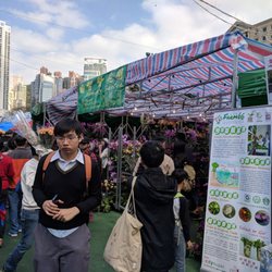 維多利亞公園年宵市場