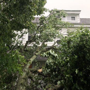 Peter's Tree Service - No limb to high! - Tree Services Near Me - Havertown, Pennsylvania Peter's Tree Service - No limb to high! - Tree Services Near Me - Havertown, Pennsylvania