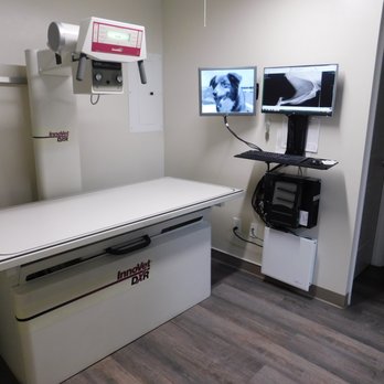 Cedar Veterinary Clinic - Digital X-Ray - Veterinarians Near Me - Cedar City, Utah