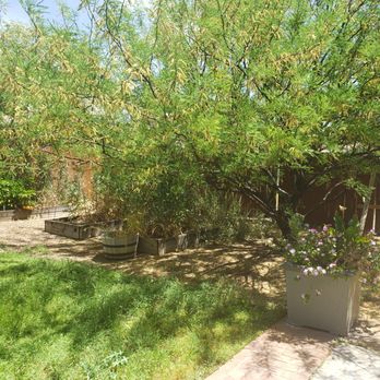 Jaguars Landscaping - Before - Landscaping Near Me - Phoenix, Arizona