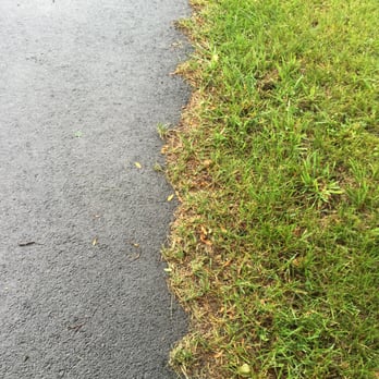 E Sprague Paving - My driveway less than 2 years after Sprague paved it. - Masonry/Concrete Near Me - Middletown, New York