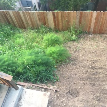 Liaison Landscapes - BEFORE - backyard full of weeds and not utilized since it's so steep - Landscape Architects or Designers Near Me - San Francisco, California