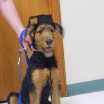 Nevada Veterinary Clinic - Veterinarians Near Me - Nevada, Missouri