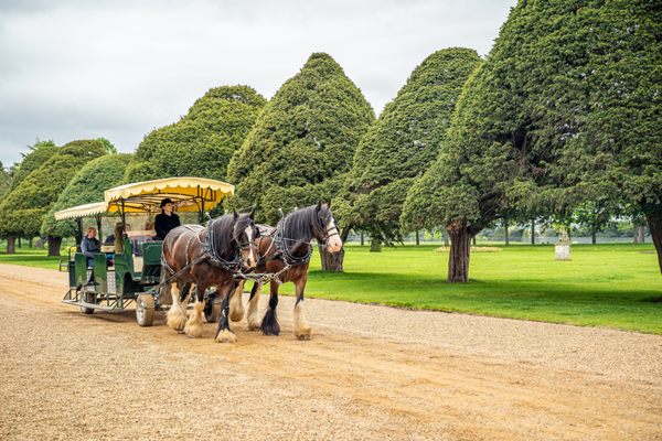 Hampton Court Palace by null