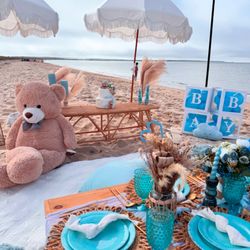Martha's Vineyard Picnic