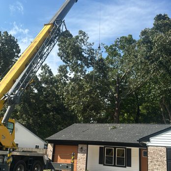 Art-Is-Tree - Tree removal with assistance from a crane - Tree Services Near Me - Virginia Beach, Virginia Art-Is-Tree - Tree removal with assistance from a crane - Tree Services Near Me - Virginia Beach, Virginia