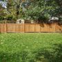 Photo of JP Tree Service