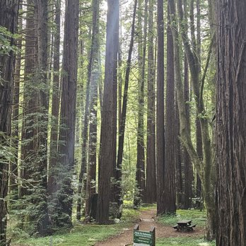 Monte Rio Redwoods Trailhead - Hiking Near Me - Monte Rio, California Monte Rio Redwoods Trailhead - Hiking Near Me - Monte Rio, California