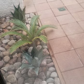 Northwest Landscape & Maintenance - Planted new plants - Landscaping Near Me - Las Vegas, Nevada Northwest Landscape & Maintenance - Planted new plants - Landscaping Near Me - Las Vegas, Nevada