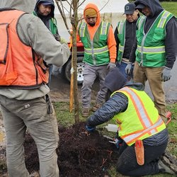 Keeping Up With the Jones - Tree planting training