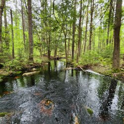 Bear Brook State Park