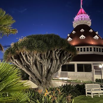 Hotel del Coronado, Curio Collection by Hilton - The tree - Coronado, CA