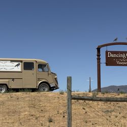 Dancing Crow Vineyards - 8/30/2026: Dancing Crow Vineyards' Marquis seen from Highway 101.