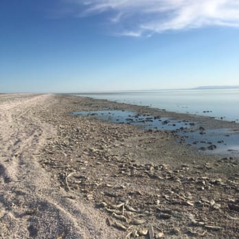 Salton Sea State Recreation Area - The entire shore is lined with dead fish - Landmarks & Historical Buildings Near Me - Mecca, California Salton Sea State Recreation Area - The entire shore is lined with dead fish - Landmarks & Historical Buildings Near Me - Mecca, California