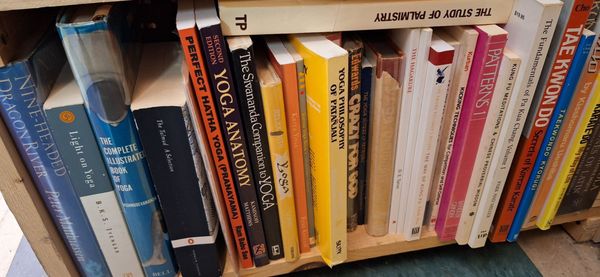 Molly's Books & Records by null