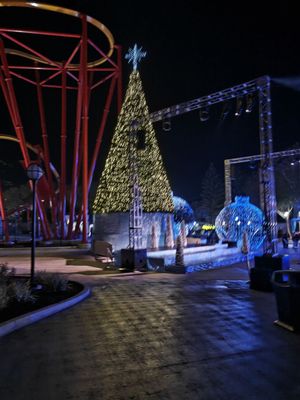 Six Flags Magic Mountain by null