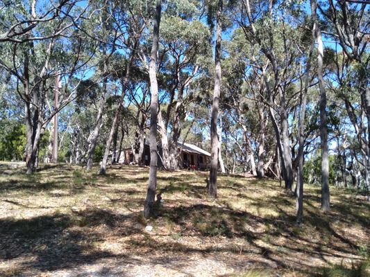 Cleland National Park by null