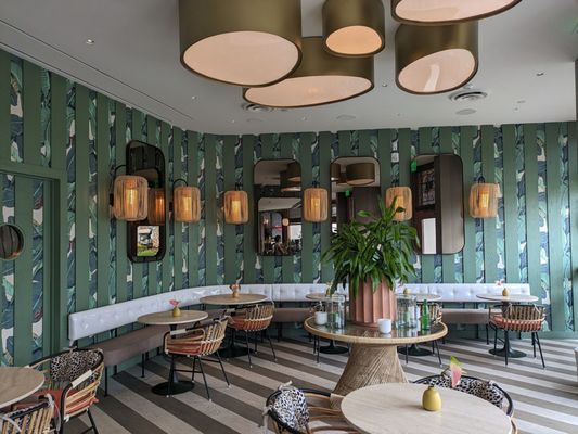 DODO BIRD Donuts by null