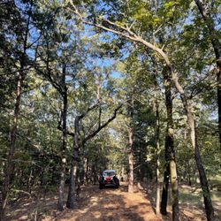 Fassio Land Solutions - Property line clearing utilizing a Bobcat T86 with a Diamond Mowers drum mulcher. Poteau, Oklahoma