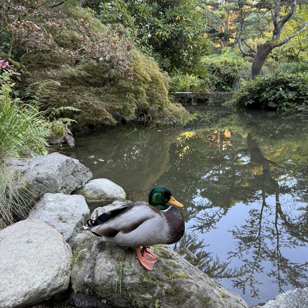 Matteo's PNW Tours - Tours Near Me - Lynnwood, Washington