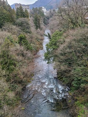 Kayotei by null