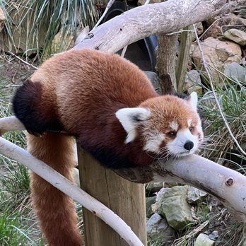 Central Coast Zoo - Zoos Near Me - Atascadero, California Central Coast Zoo - Zoos Near Me - Atascadero, California