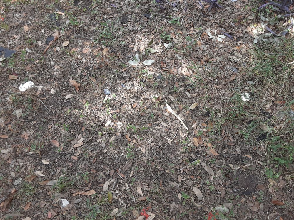 Slide of All-Star Roofing & Construction