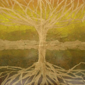Bodi Wisdom Studio - Yoga Near Me - Raleigh, North Carolina Bodi Wisdom Studio - Yoga Near Me - Raleigh, North Carolina