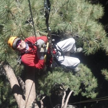 Ziplines at Pacific Crest - Ziplining Near Me - Wrightwood, California