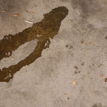 Take 5 Oil Change - Where oil is now leaking in may garage after the repairs. - Oil Change Stations Near Me - Dallas, Texas Take 5 Oil Change - Where oil is now leaking in may garage after the repairs. - Oil Change Stations Near Me - Dallas, Texas