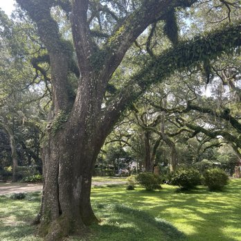 Eden Gardens State Park - Parks Near Me - Santa Rosa Beach, Florida Eden Gardens State Park - Parks Near Me - Santa Rosa Beach, Florida