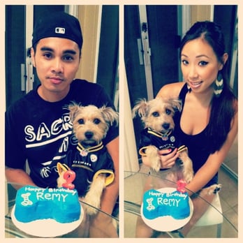 Bath & Biscuits - Our baby was so happy with his cake! - Pet Stores Near Me - Sacramento, California Bath & Biscuits - Our baby was so happy with his cake! - Pet Stores Near Me - Sacramento, California