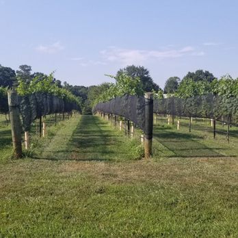 Daveste Vineyards - Wineries Near Me - Troutman, North Carolina