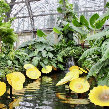 Garfield Park Conservatory - one of many koi ponds - Parks Near Me - Chicago, Illinois