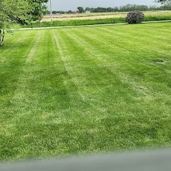 TruGreen Lawn Care - Working toward a weed-free lawn? Talk with TruGreen about your yard in Lafayette, IN, and nearby West Lafayette. - Tree Services Near Me - Lafayette, Indiana TruGreen Lawn Care - Working toward a weed-free lawn? Talk with TruGreen about your yard in Lafayette, IN, and nearby West Lafayette. - Tree Services Near Me - Lafayette, Indiana