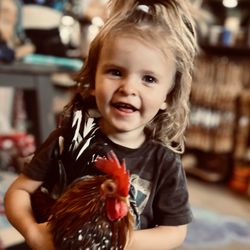 The Hippie Chicken - Love Love Love
